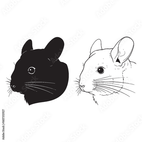 Compact Body Tenacity - Chinchilla Art Duo - Silhouette & Lineart for High-Quality Use - Chinchilla silhouette - Chinchilla lineart - Chinchilla vector - vector set of Chinchilla

