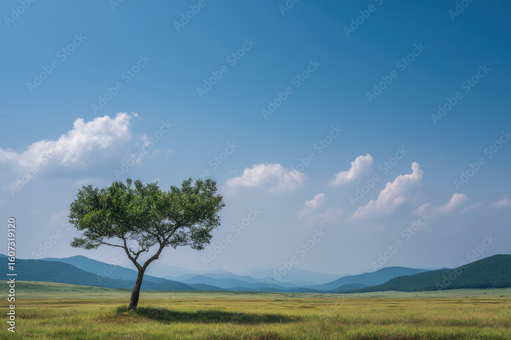 Obraz premium solitary tree stands gracefully atop verdant hill under clear blue sky embodying natures tranquility