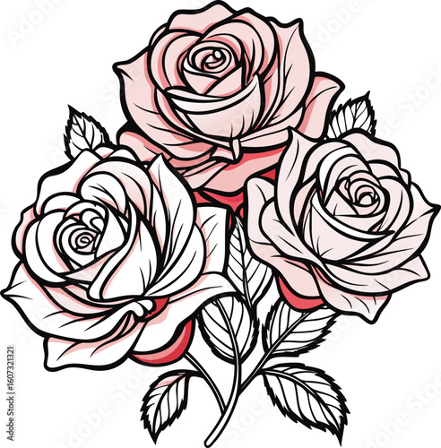 Balsam Roses line art vector on a white background 