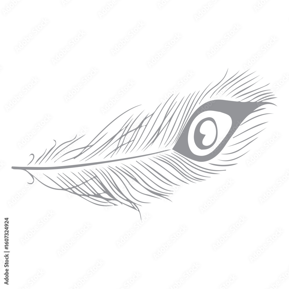Obraz premium peacock feather