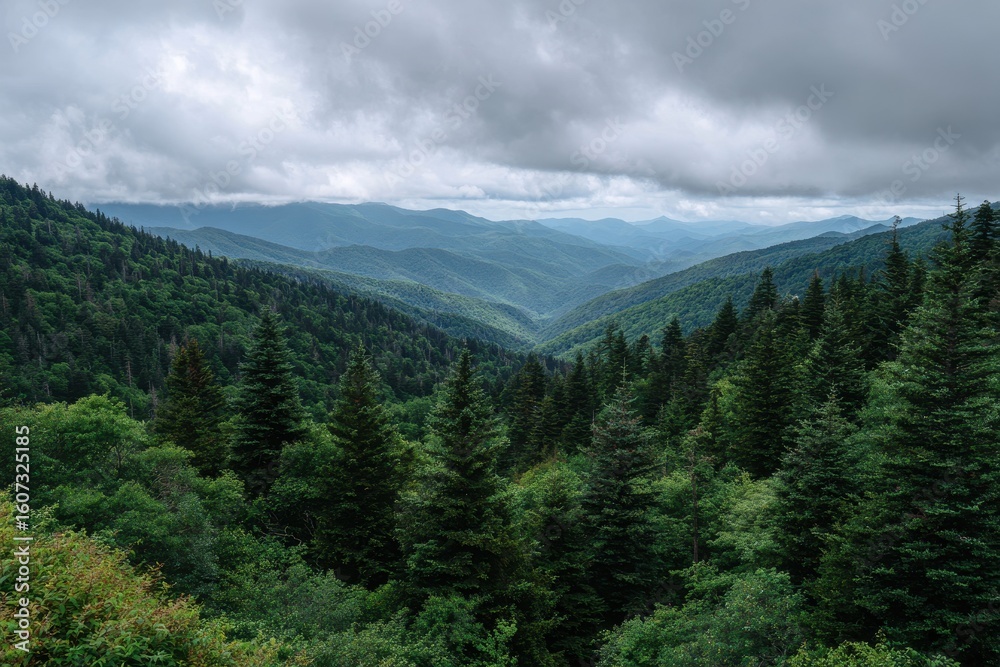 Fototapeta premium Expansive mountain valley vista under a dramatic cloudy sky with lush green forest canopy