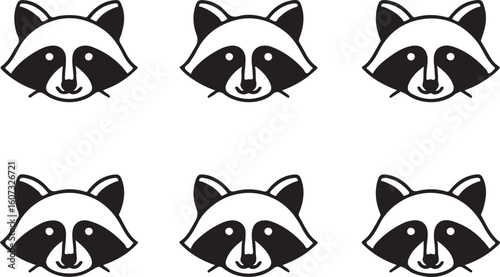 Black and white raccoon faces animal