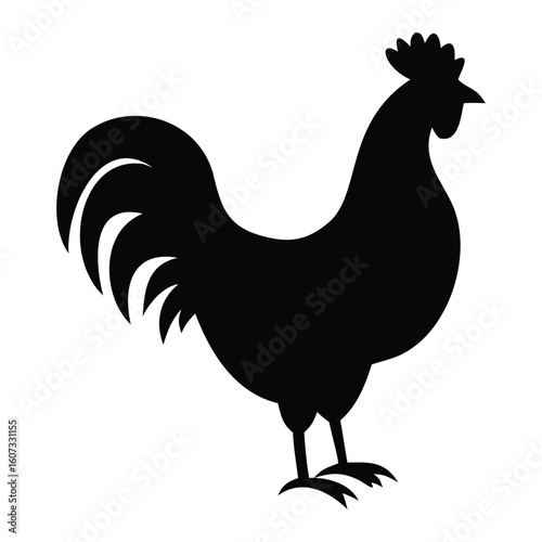 Black silhouette of a rooster standing proudly