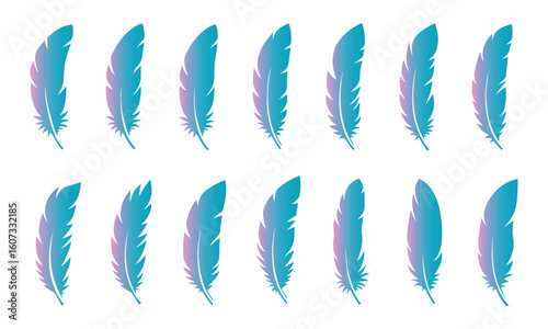 Colorful feather icons, gradient modern feather set isolated on transparent background.