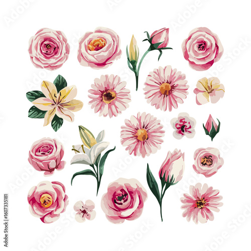 Watercolor floral ilk vector on white background.01