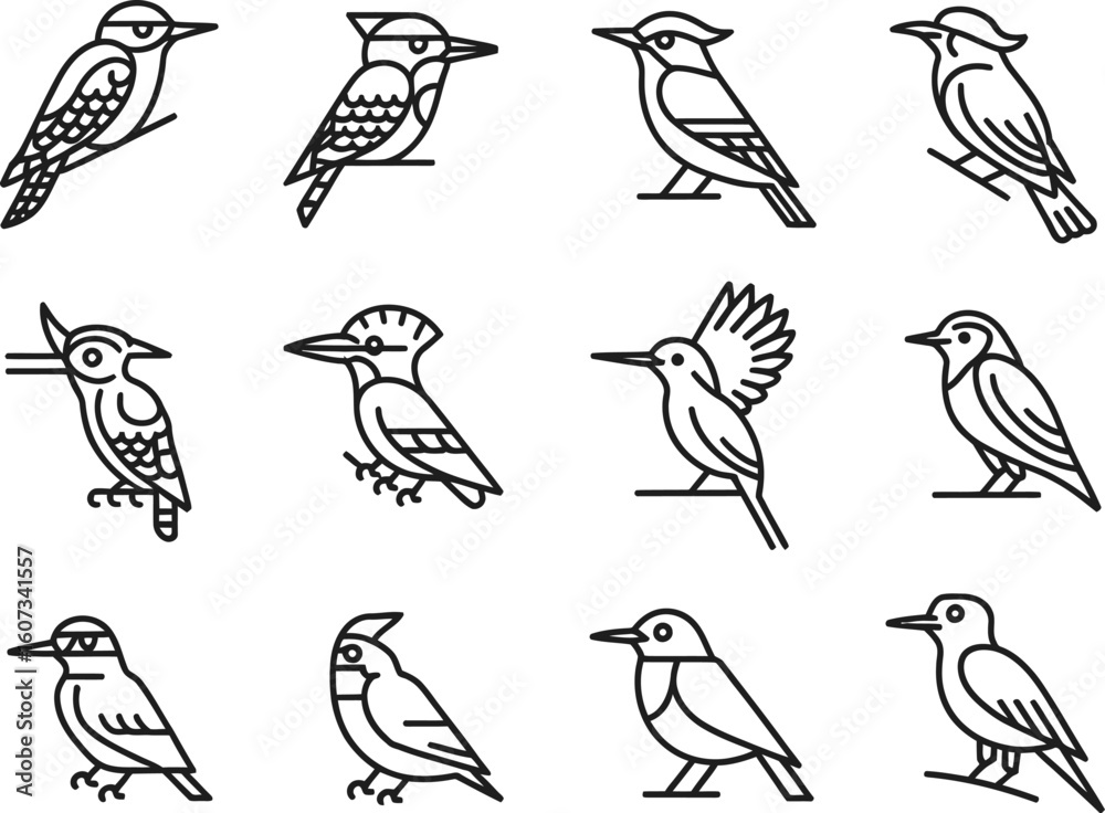 Fototapeta premium Collection of twelve hand drawn bird illustrations in black and white outline style