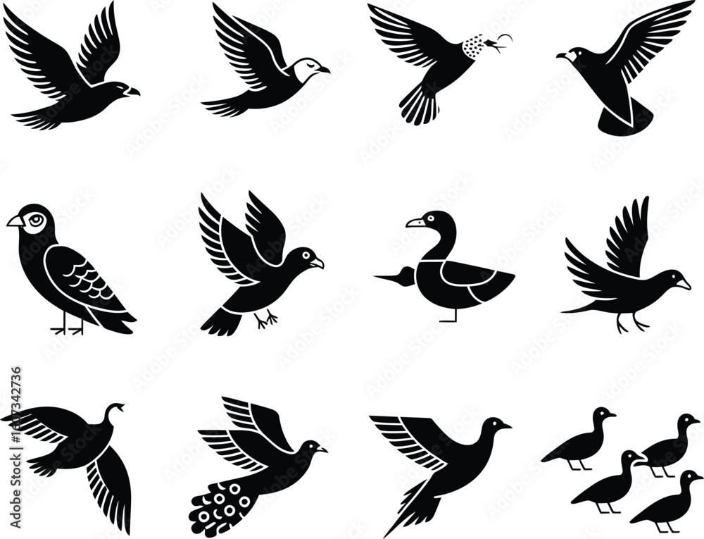 Obraz premium Collection of silhouette bird illustrations in various flying and perched poses