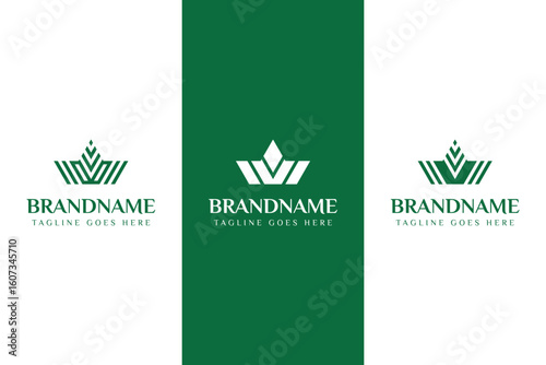 Letters V Crown Logo, symbolizing leadership, excellence, and prestige