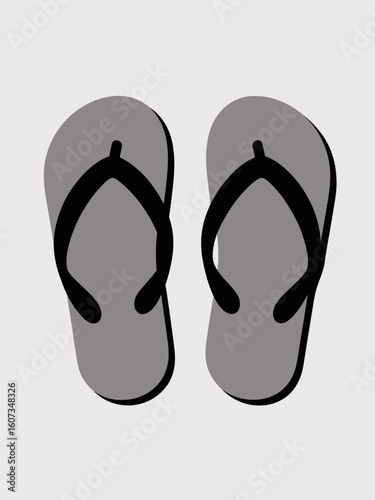 flip flops vector