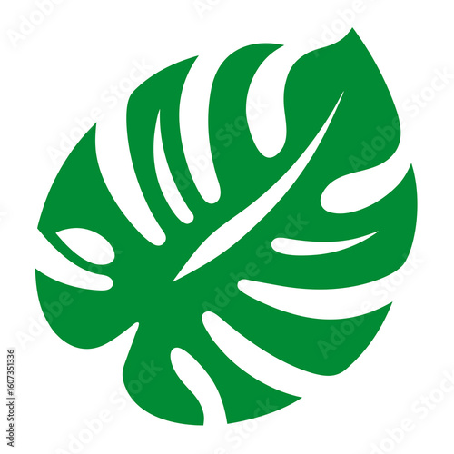 Stylized green monstera leaf silhouette with natural fenestrations on white background