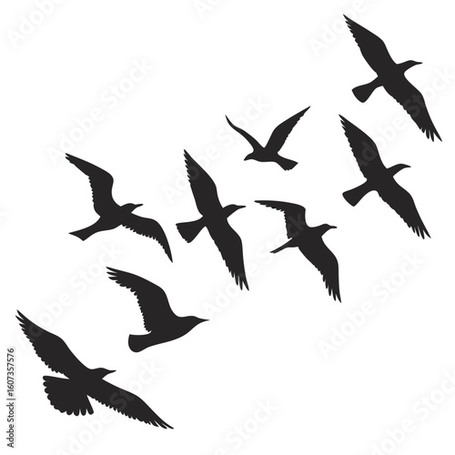 Soaring Silhouettes: A flock of birds gracefully soars against the sky, their dark silhouettes creating a mesmerizing dance of freedom and flight.