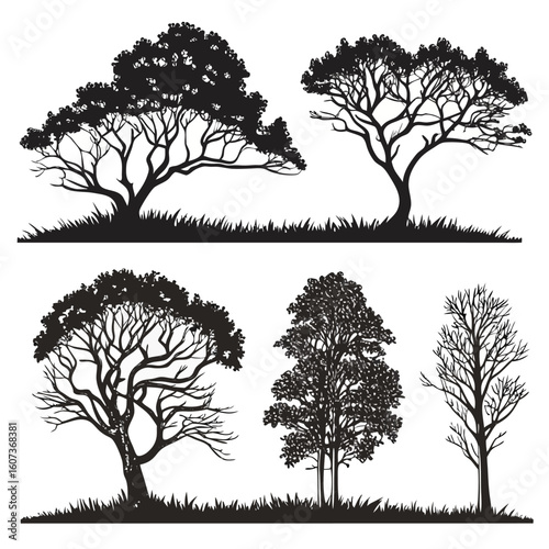 Silhouette Trees Collection: A captivating ensemble of tree silhouettes, showcasing intricate branches and diverse forms against a backdrop.
