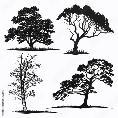 Silhouette Trees: A striking collection of four different tree silhouettes in a variety of shapes, providing a versatile visual resource for diverse design applications.