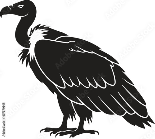 vulture silhouette art vector illustration with a white background,Vulture Silhouette Illustration – Black and White Stylized Bird with Hooked Beak