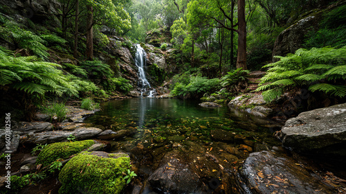 A breathtaking view of a waterfall and a tranquil pond in a lush forest.