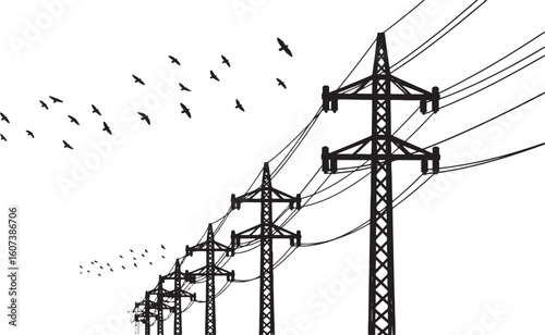 Black silhouette of power lines and birds flying against white background, power lines, electricity, transmission tower, pylons, birds, flying, flock of birds, silhouette, black and white, sky, nature