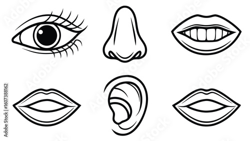 Human organs icon Set of stylized illustrations of Clipart Silhouette