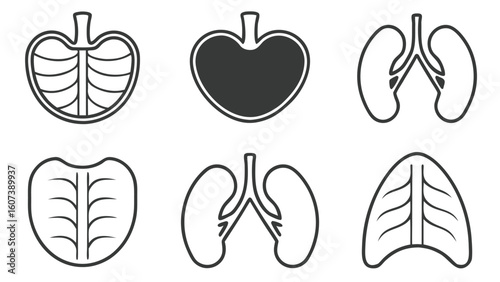 Human organs icon Set of stylized illustrations of Clipart Silhouette