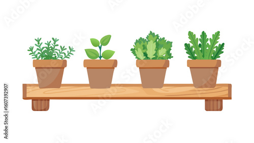 Four potted herb plants displayed on a wooden shelf against a black background