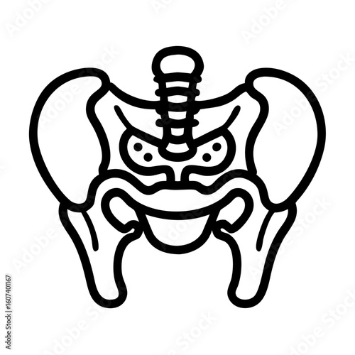 pelvis bone line art vector on transparent background