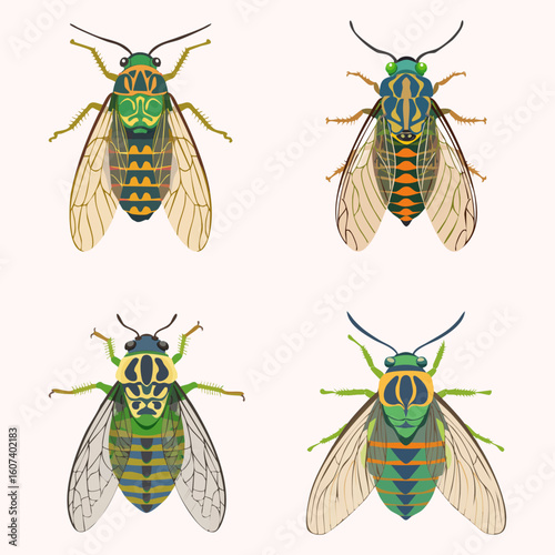 Cicada collection, vector illustration. 