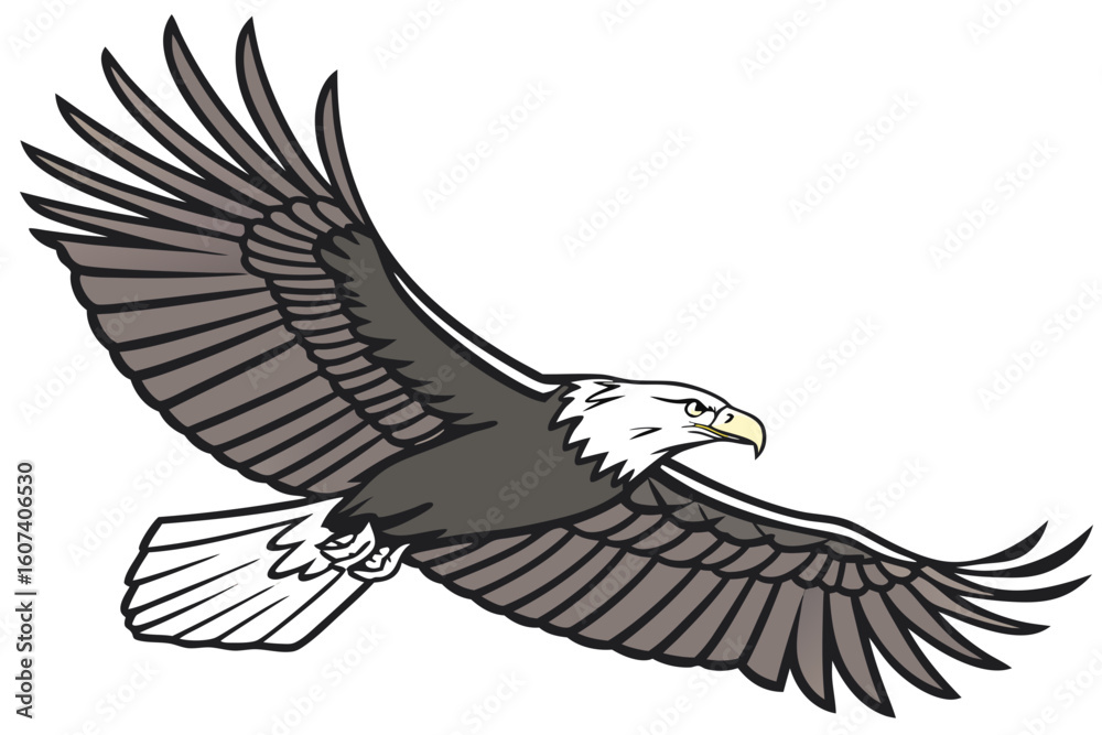 Obraz premium eagle in flight