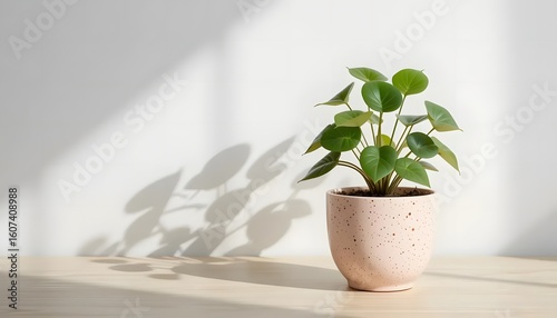 Small Green Plant in Speckled Pink Pot on Wooden Table Against White Background