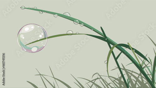 Dew drops on grass blades nature photography morning dew freshness nature scene water droplets close up view