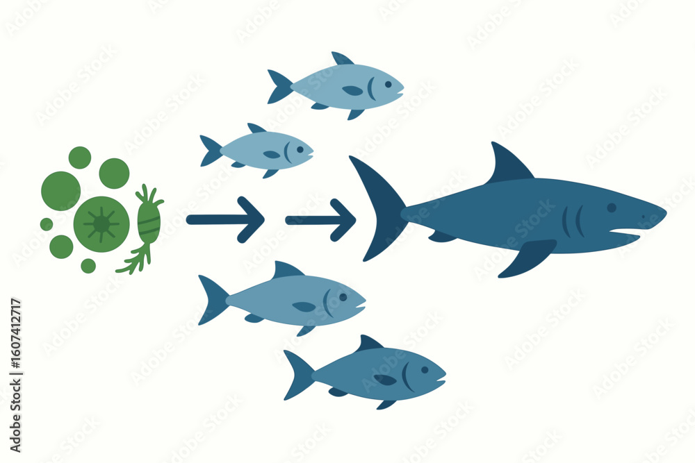 Fototapeta premium Ocean Predator-Prey Diagram – Flat Biology Vector