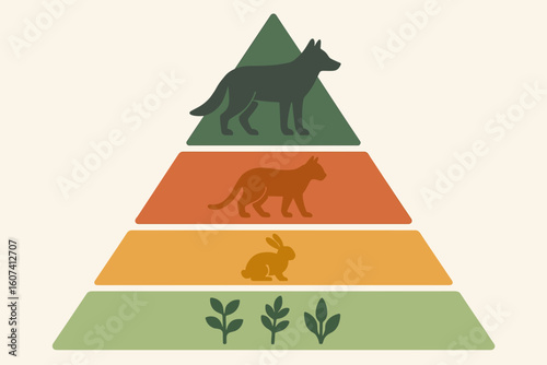 Animal Trophic Pyramid – Ecosystem Role Layers