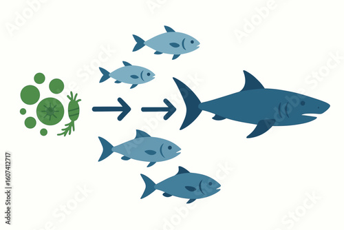 Ocean Predator-Prey Diagram – Flat Biology Vector