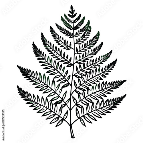 Stylized black fern frond with subtle green accents on a white background
