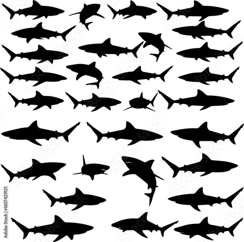A collection of shark silhouettes in various poses, swimming and jumping, arranged in a grid-like pattern against a white background.