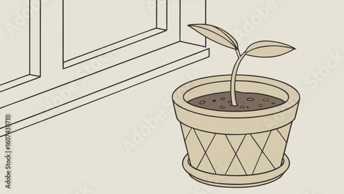 A small plant with two leaves growing in a decorative pot near a window with a neutral background tone