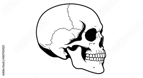 Striking monochrome skull profile graphic, perfect for bold designs and edgy branding, conveying a powerful, unforgettable statement.
