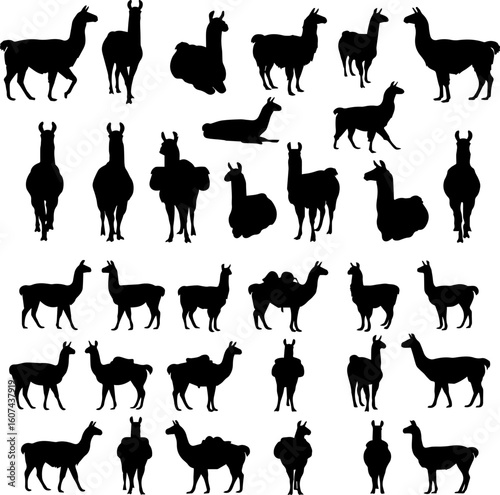 A collection of llama silhouettes in various poses, including standing, walking, lying down, and facing forward.