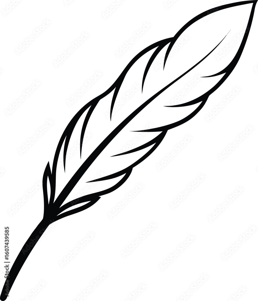 Fototapeta premium Single Black Feather with Intricate Details Doodle