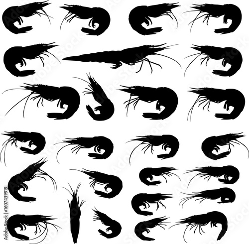 A collection of shrimp silhouettes arranged in a grid pattern, showcasing various poses and orientations of the crustaceans.