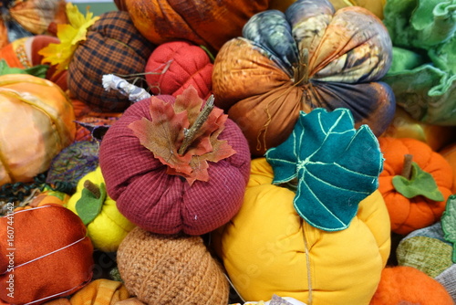 Herbstgemüse Handarbeit