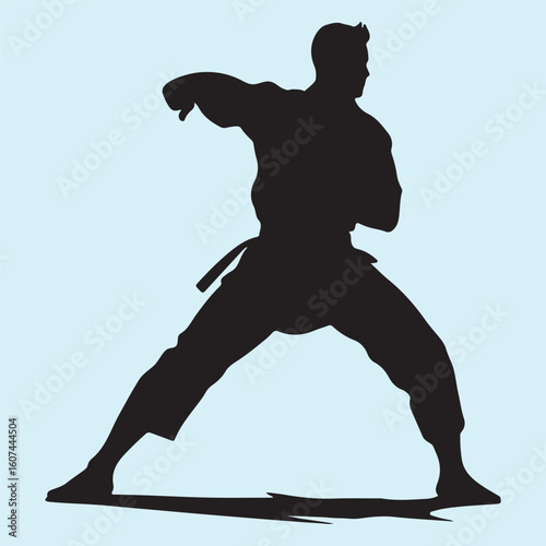 Taekwondo Silhouette