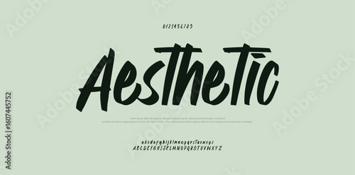 Aesthetic Brush Script Typography. Modern Handwritten Font Design. signature Font Calligraphy Logotype Script Brush Font Type Font lettering handwritten
