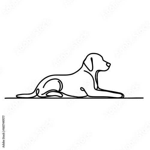 Dog lying down in minimalist black and white line art