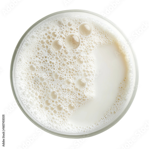 Creamy Dairy Delights: An overhead shot of a refreshing glass of milk, showcasing its smooth texture and effervescent bubbles. Evoking the senses.