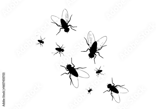 Flat Style Group of Flying Black Fly Insect Silhouette Illustration