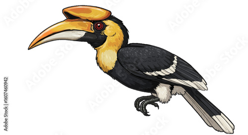 toucan on white background