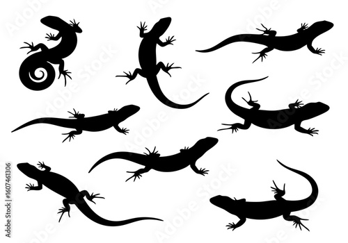 Silhouette Detailed Lizard Reptile Creature Diverse Poses Set Illustration