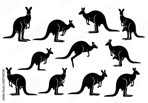 Silhouette Diverse Kangaroo Animal Group Illustration Graphics