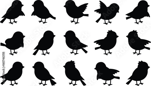 Silhouetted Birds Flock Illustration Depicting Avian Diversity Black and White Artwork Portraying Various Bird Shapes and Sizes Together