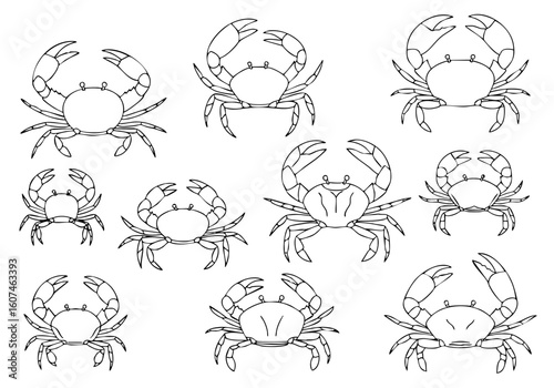 Minimalist Lineart Crab Animal Set Illustration Marine Life Collection