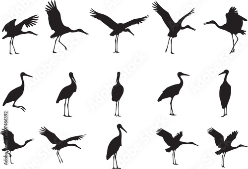 Diverse Silhouettes of Cranes in Various Poses Gracefully Dancing and Standing, Captured in Striking Black and White with an Artistic Flair
